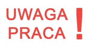 Praca w Przychodni Dla Zwierząt w Gubinie